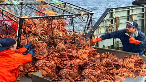 battletech king crab build|alaska crab fishing boats.